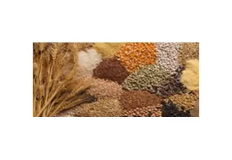 Кейс: внедрение Битрикс24 для управления процессами агро-трейдера и расчета рентабельности сделок